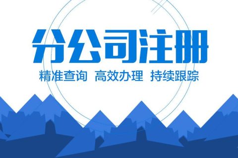 在拉薩設立分公司的流程、所需材料、辦理時間