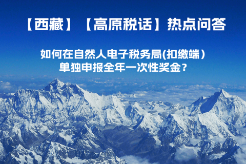 西藏自治區如何在自然人電子稅務局(扣繳端）單獨申報全年一次性獎金？