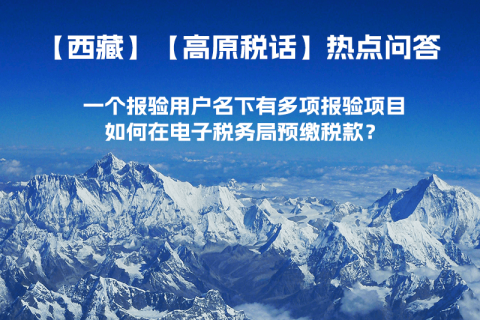 一個報驗用戶名下有多項報驗項目，如何在電子稅務局預繳稅款？