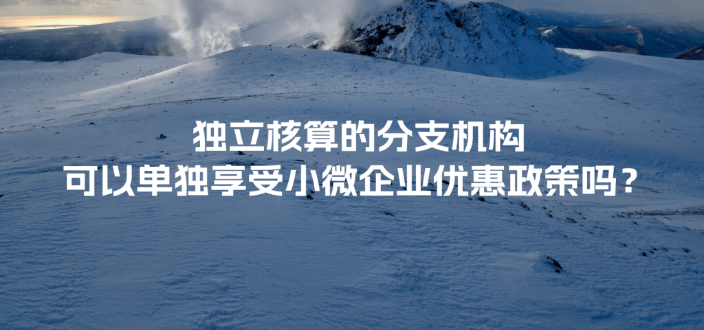 獨立核算的分支機構可以單獨享受小微企業優惠政策嗎？