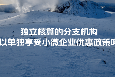 獨立核算的分支機構可以單獨享受小微企業優惠政策嗎？