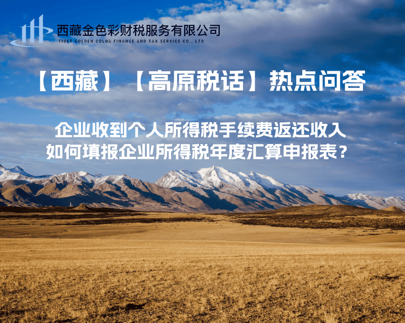 企業收到個人所得稅手續費返還收入，如何填報企業所得稅年度匯算申報表？